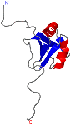 Image NMR Structure - model 1