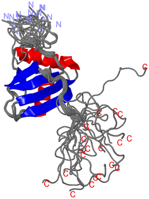 Image NMR Structure - all models