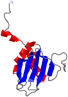 Image NMR Structure - model 1