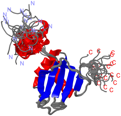 Image NMR Structure - all models