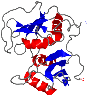 Image NMR Structure - model 1