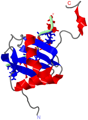 Image NMR Structure - model 1