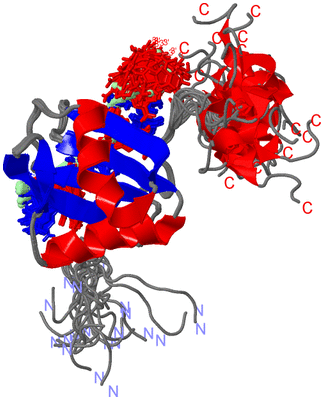 Image NMR Structure - all models