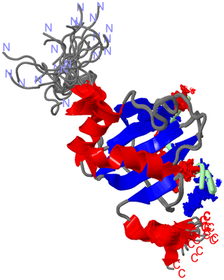 Image NMR Structure - all models