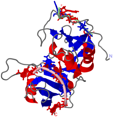 Image NMR Structure - model 1