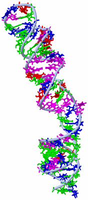 Image NMR Structure - model 1