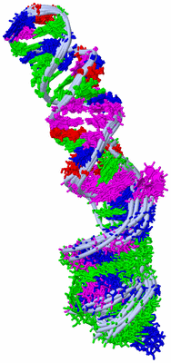 Image NMR Structure - all models