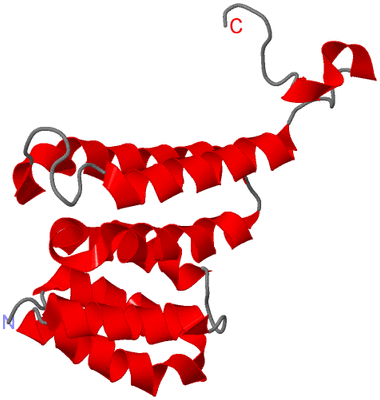 Image NMR Structure - model 1