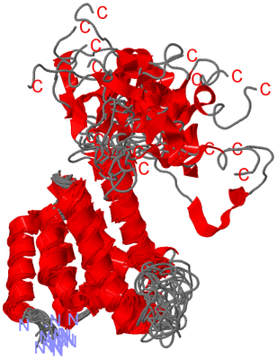 Image NMR Structure - all models