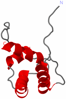 Image NMR Structure - model 1