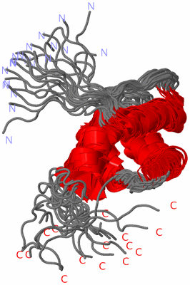 Image NMR Structure - all models