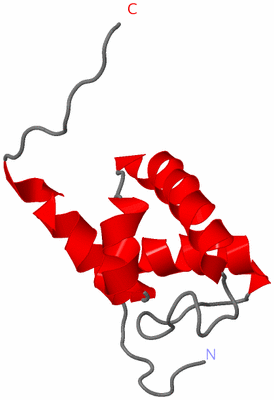 Image NMR Structure - model 1