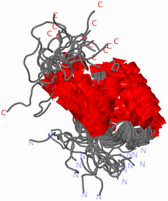 Image NMR Structure - all models