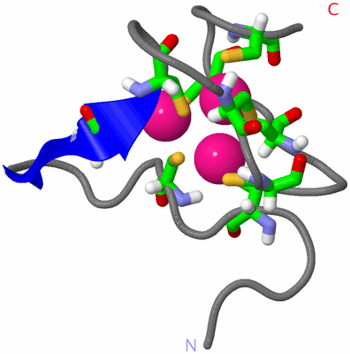 Image NMR Structure - model 1, sites