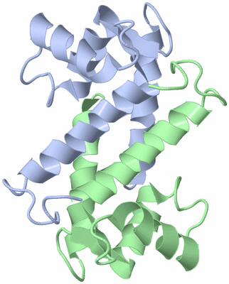 Image NMR Structure - model 1