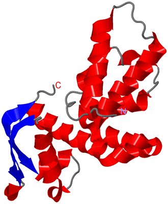 Image NMR Structure - model 1