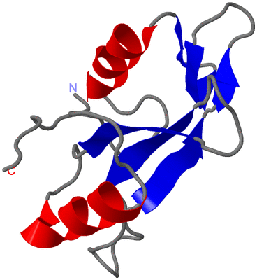 Image NMR Structure - model 1