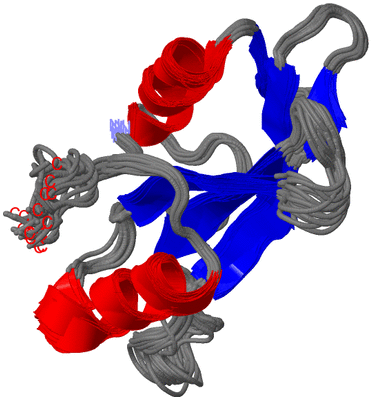 Image NMR Structure - all models