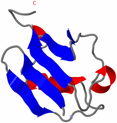 Image NMR Structure - model 1