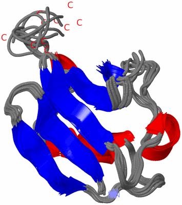 Image NMR Structure - all models