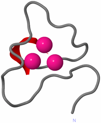 Image NMR Structure - model 1