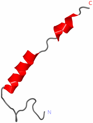 Image NMR Structure - model 1