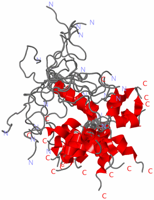 Image NMR Structure - all models