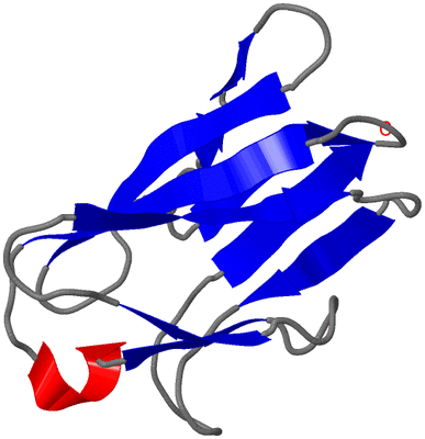 Image NMR Structure - model 1