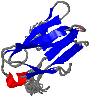 Image NMR Structure - all models