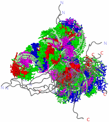 Image NMR Structure - all models