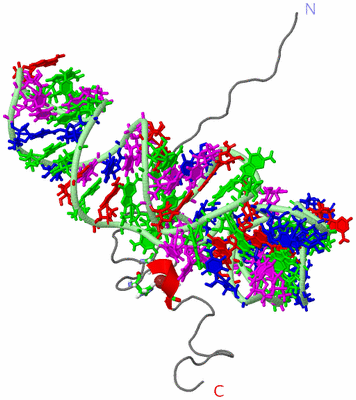 Image NMR Structure - model 1, sites