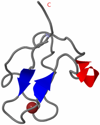 Image NMR Structure - model 1