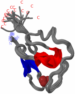 Image NMR Structure - all models