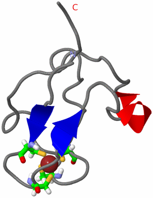 Image NMR Structure - model 1, sites