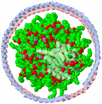 Image NMR Structure - model 1