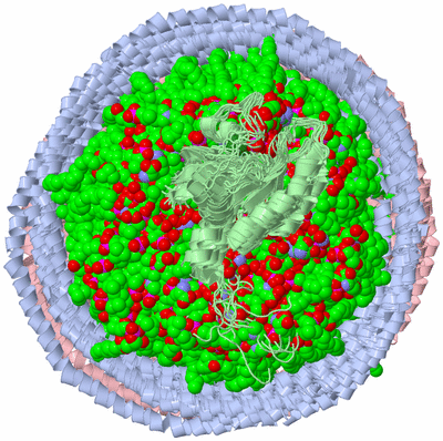 Image NMR Structure - all models