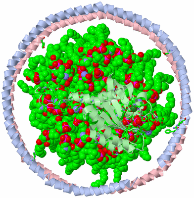 Image NMR Structure - model 1, sites