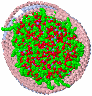 Image NMR Structure - all models