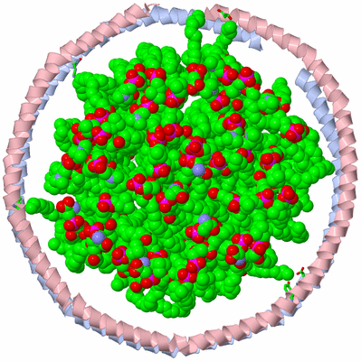 Image NMR Structure - model 1, sites