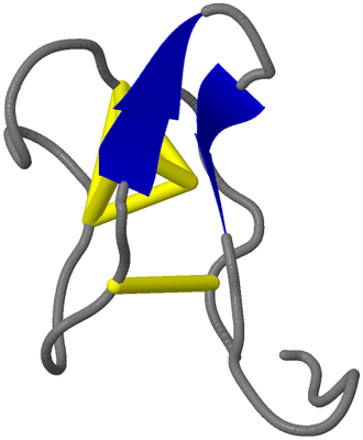 Image NMR Structure - model 1