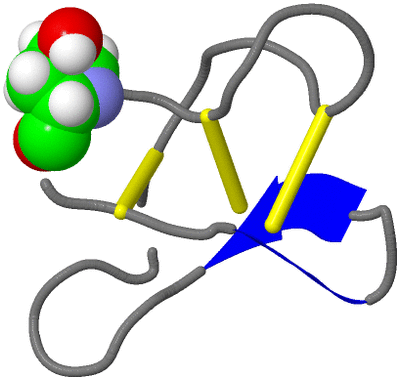 Image NMR Structure - model 1