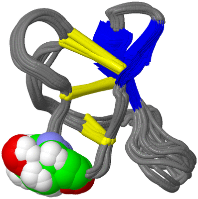 Image NMR Structure - all models