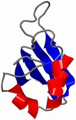 Image NMR Structure - model 1