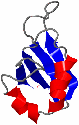 Image NMR Structure - model 1