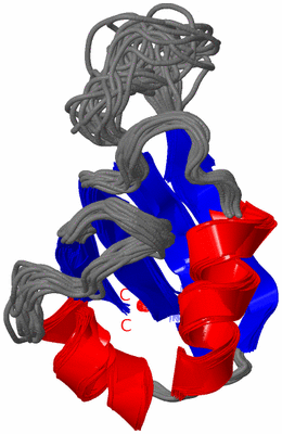 Image NMR Structure - all models