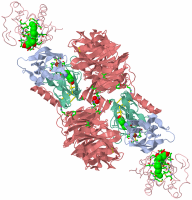 Image Biol. Unit 1 - sites