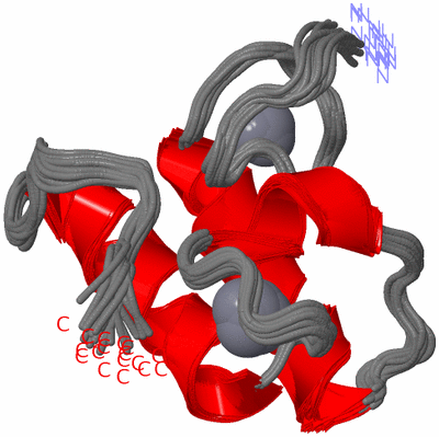 Image NMR Structure - all models