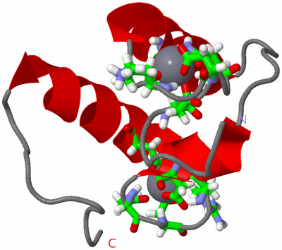 Image NMR Structure - model 1, sites