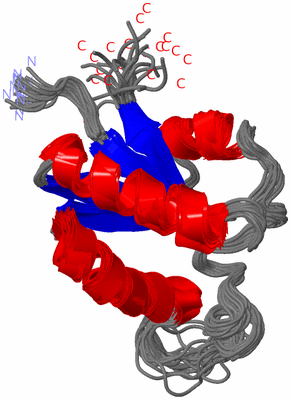 Image NMR Structure - all models