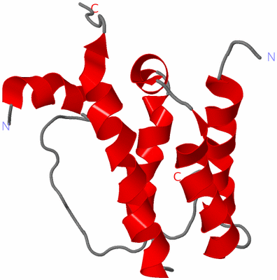 Image NMR Structure - model 1